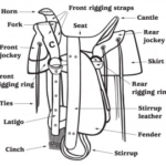Anatomy of a Saddle