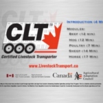 Canadian Livestock Transport Training Video (5 videos: DVD and Video Footage/Production)